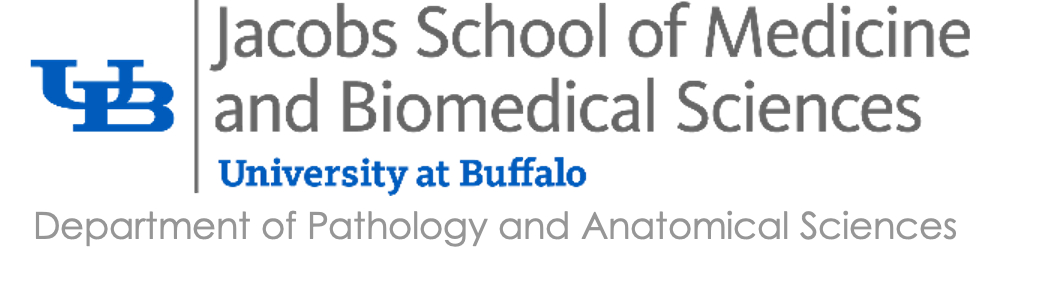Jacobs School of Medicine
